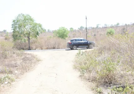 npurfrm10.JPG