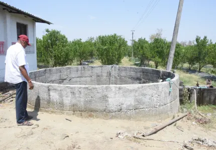 npurfrm9.JPG